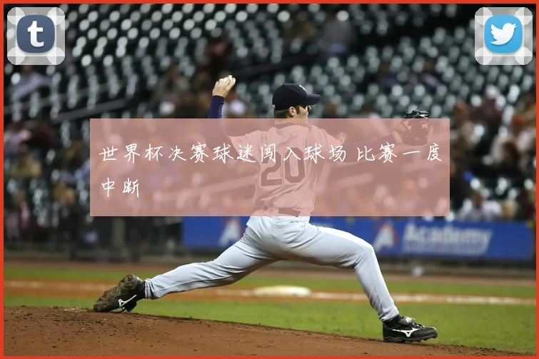 世界杯决赛球迷闯入球场 比赛一度中断