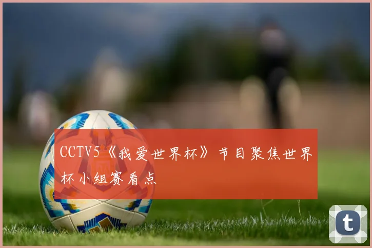 CCTV5《我爱世界杯》节目聚焦世界杯小组赛看点