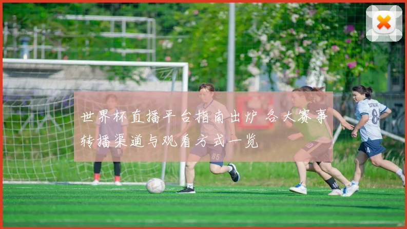 世界杯直播平台指南出炉 各大赛事转播渠道与观看方式一览
